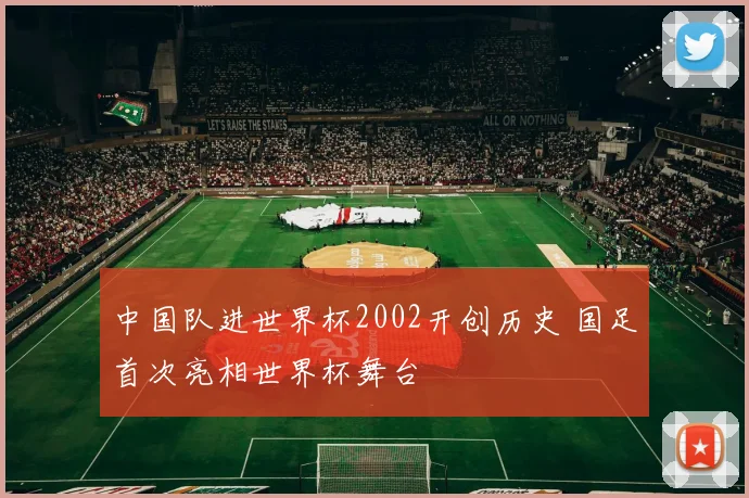 中国队进世界杯2002开创历史 国足首次亮相世界杯舞台