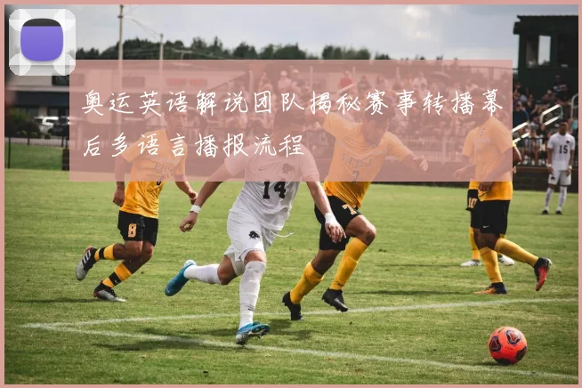 奥运英语解说团队揭秘赛事转播幕后多语言播报流程