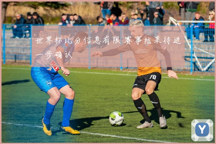 世界杯比分信息有限 赛事结果待进一步确认