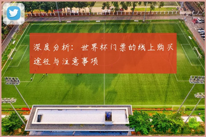 深度分析：世界杯门票的线上购买途径与注意事项