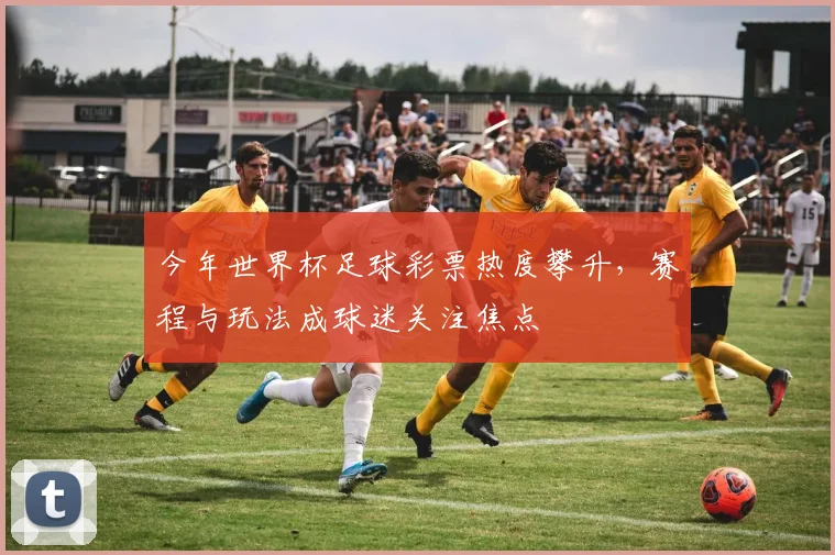 今年世界杯足球彩票热度攀升，赛程与玩法成球迷关注焦点