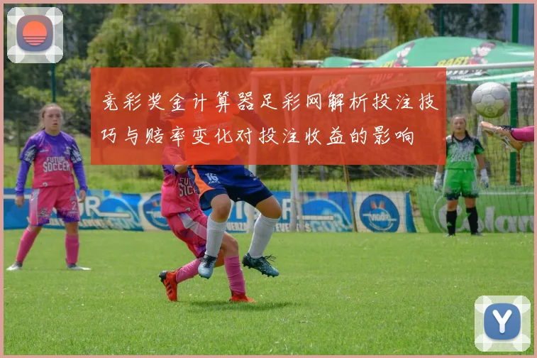 竞彩奖金计算器足彩网解析投注技巧与赔率变化对投注收益的影响