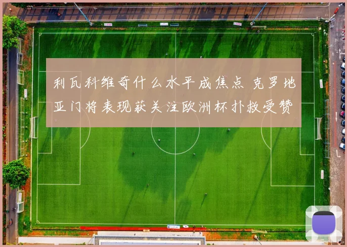 利瓦科维奇什么水平成焦点 克罗地亚门将表现获关注欧洲杯扑救受赞誉