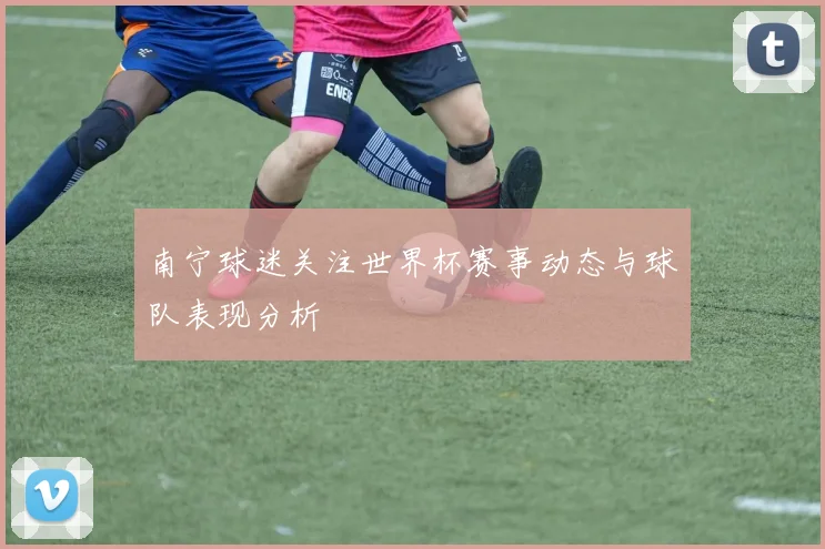 南宁球迷关注世界杯赛事动态与球队表现分析