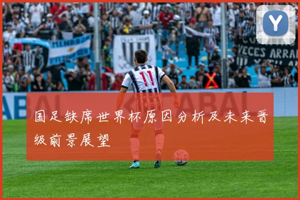 国足缺席世界杯原因分析及未来晋级前景展望