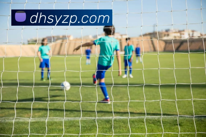 华会体育app官网平台生态图